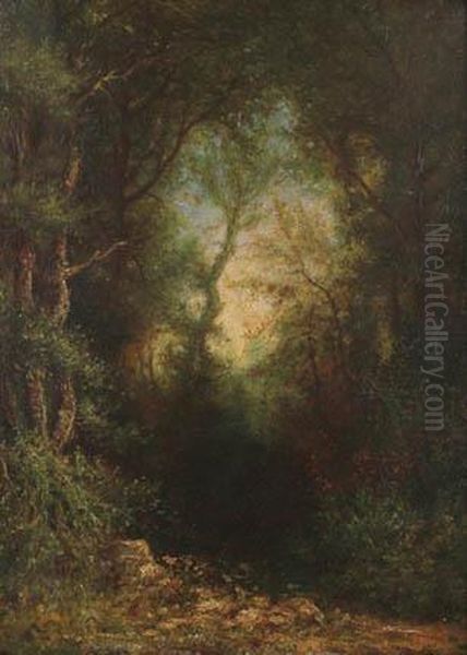 Forest Interior Oil Painting by Julius Eduard Marak