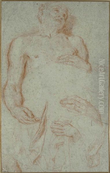 Maratti Studies Of A Reclining Man Oil Painting by Carlo Maratta or Maratti