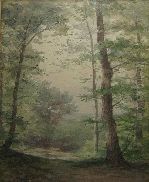 Foret Ensoleillee Oil Painting by Henri Marcette