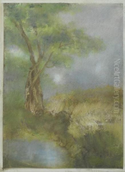 Il Grande Albero Oil Painting by Pompeo Mariani