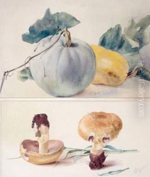 Cucurbitacees Et Champignons Oil Painting by Prinsesse, Danmark Marie