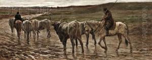 Droving Steer Oil Painting by Leopoldo Mariotti