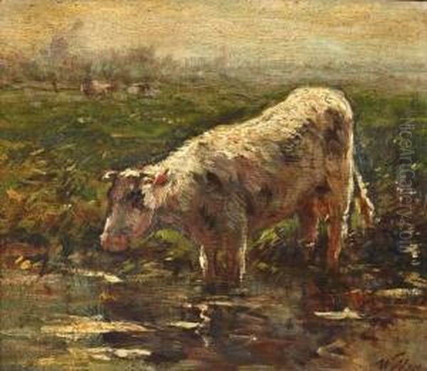 Koe Aan De Slootkant Oil Painting by Willem Maris