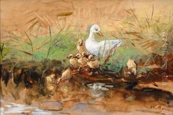 A Family Of Ducks By The Water's Edge Oil Painting by Willem Maris