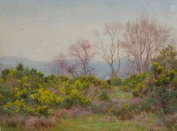 Spring On The Heath, Near Reigate Oil Painting by George Marks