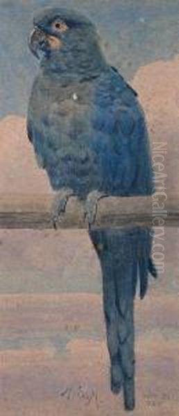 A Blue And Green Parrot Seated On Aperch Oil Painting by Henry Stacy Marks