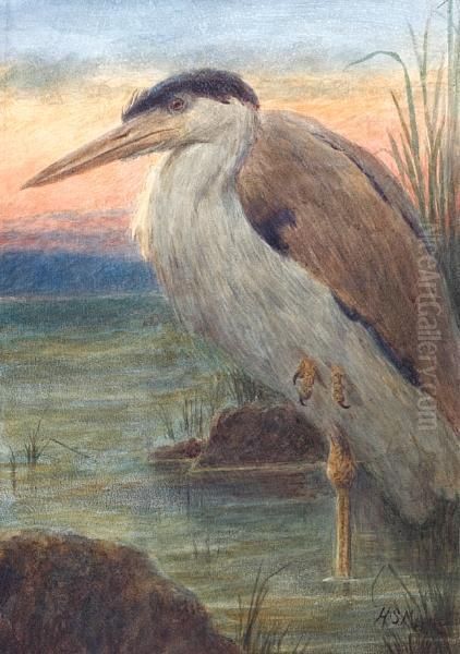 Study Of A Heron At Sunset Oil Painting by Henry Stacy Marks