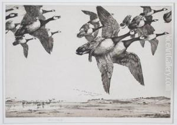 Canada Geese In Flight Oil Painting by George Marples