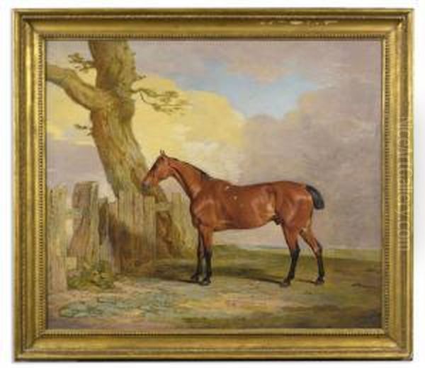 Butcher's Boy, A Bay Hunter Once Owned By R. Lambton, Esq., Master Of The Sedgefield Hunt (formerly Titled: Hunter In A Landscape) Oil Painting by Benjamin Marshall