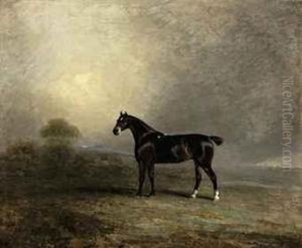 Bembo, A Favorite Hunter Of Charles Shuttleworth Oil Painting by Benjamin Marshall