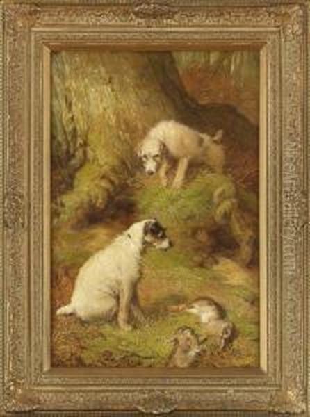 Woodland Interior With Terriers Huntinghare Oil Painting by John Fitz Marshall