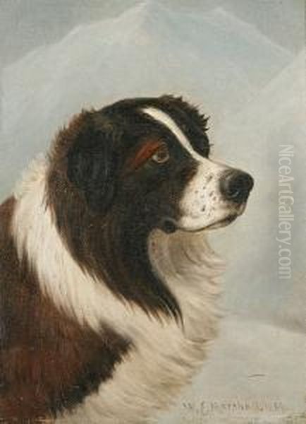 St. Bernard In A Winter Landscape Oil Painting by William Elsob Marshall