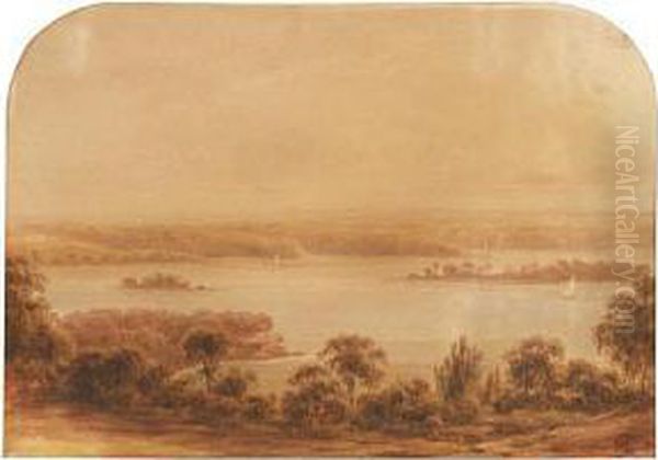 A View Of Sydney Harbour Oil Painting by Conrad Martens