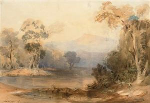 Bara Creek, Near Wollongong, Illawara District, New South Wales Oil Painting by Conrad Martens