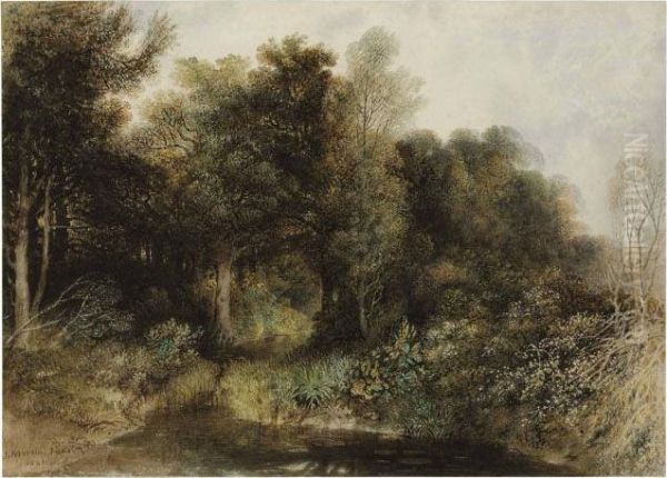 A Stream Flowing Into A Pool In A Forest Oil Painting by John Martin