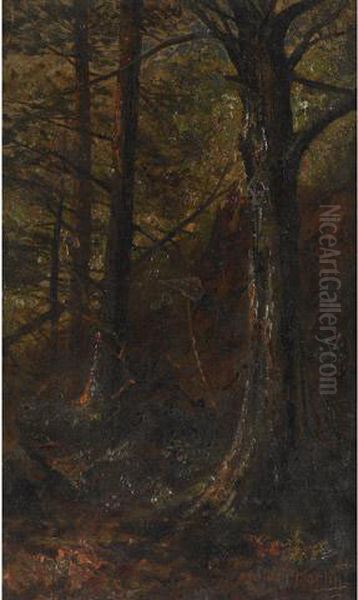 In The Woods Oil Painting by Thomas Mower Martin