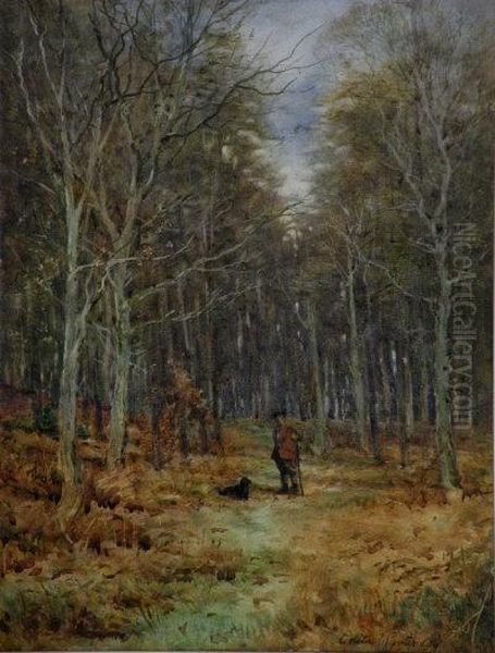 Tingrith Woods Near Woburn, Bedfordshire Oil Painting by Edith Martineau