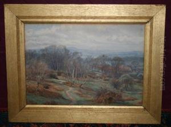 Hampstead Heath Looking Over Toharrow-on-the-hill Oil Painting by Edith Martineau