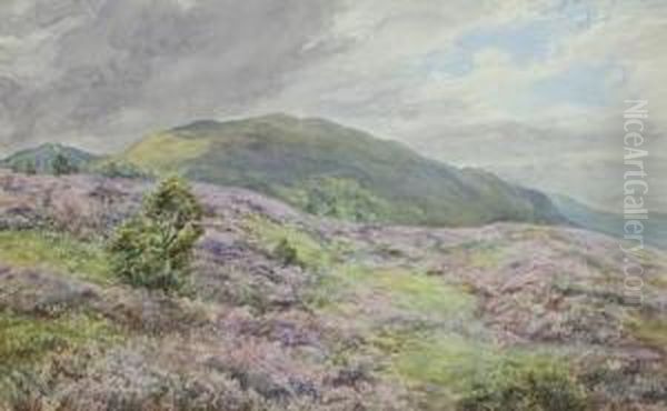 Heather On The Moor Near Polchar, Aviemore Oil Painting by Gertrude Martineau