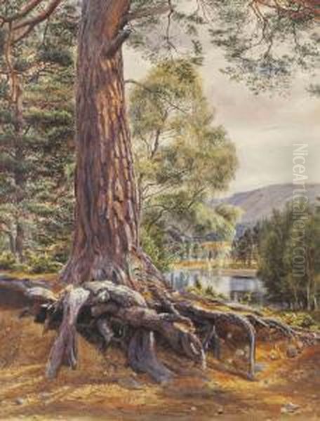 A River Landscape With A Conifer In The Foreground Oil Painting by Gertrude Martineau