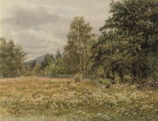 Wild Flowers In A Meadow, Thought To Be Near Aviemore Oil Painting by Gertrude Martineau