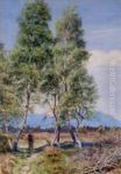 Silver Birches Ataviemore, Scotland Oil Painting by Gertrude Martineau