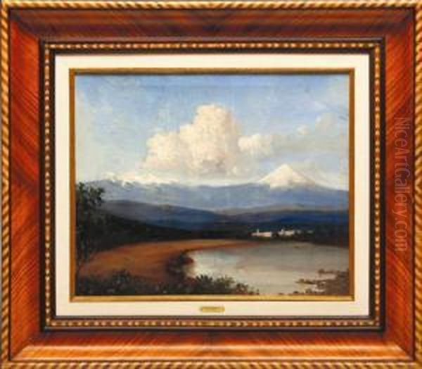 Vista De Los Volcanes Oil Painting by Fernando Martinez Checa