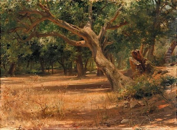 Paisaje Boscoso Oil Painting by Francisco Masriera y Manovens