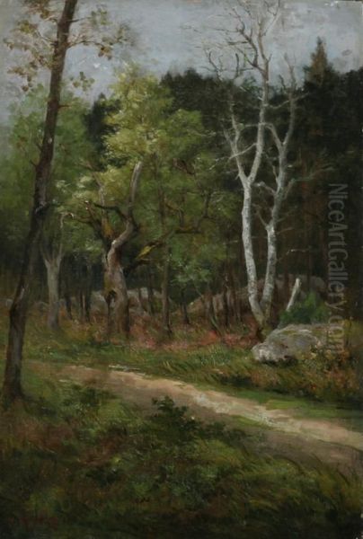 Barbizon Forest With Birch Tree Oil Painting by Alphonse Charles Masson