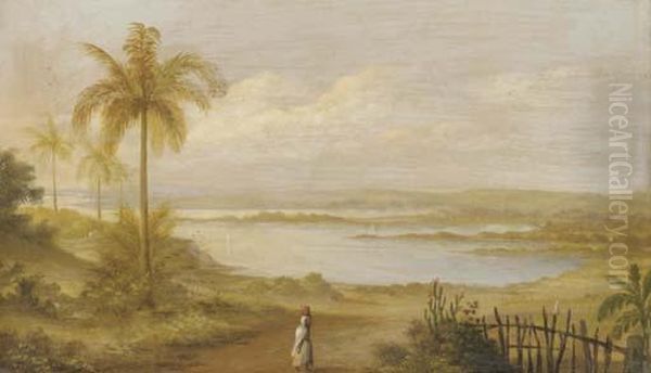 The Lagoons, Asuncion Del Paraguay Oil Painting by G.F. Masterman