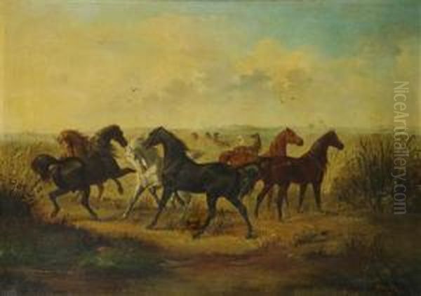 A Herd Of Horses Oil Painting by Josef Mathauser