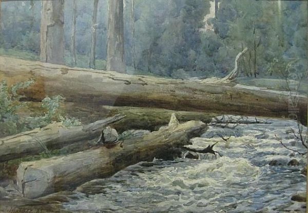 Forrest Scene Oil Painting by John Mather