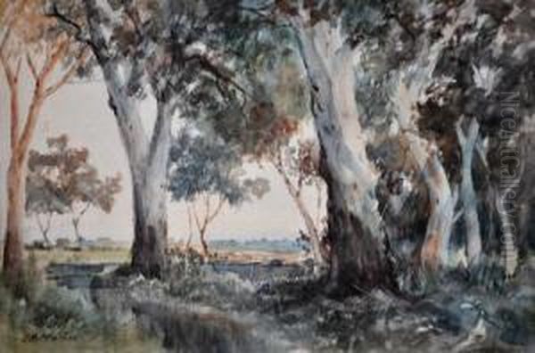 Lakes And Gums Oil Painting by John Robert Mather