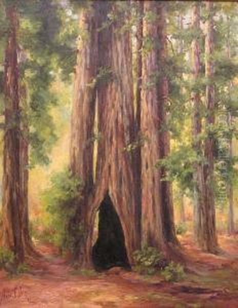 In The Muir Woods Oil Painting by Anna Elizabeth Mathews Doty