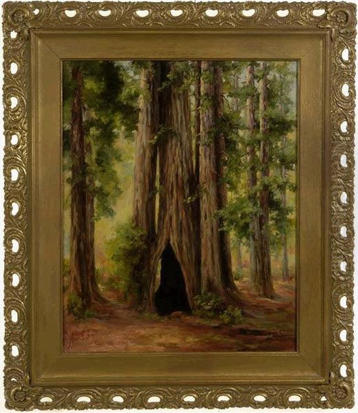 In Muir Woods. Oil Painting by Anna Elizabeth Mathews Doty