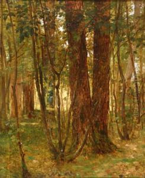 Forest Interior Oil Painting by Louis Remy Matifas