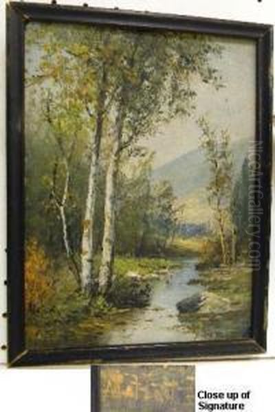 Birch Trees And Stream Oil Painting by Frederick Matzow