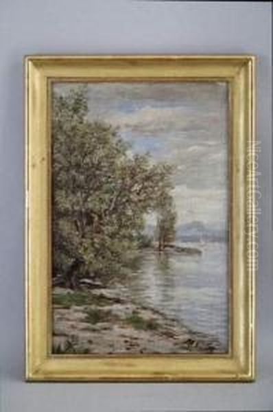 Lac Leman Presd'hermance Oil Painting by Francois Armand Mauchain