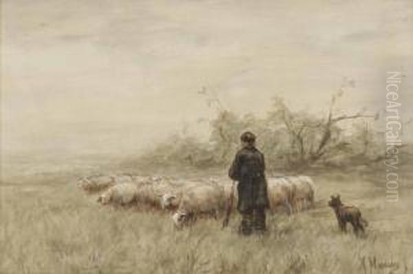 A Shepherd And His Flock Oil Painting by Anton Mauve