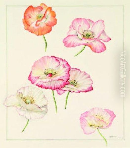 Papaver Rhoeas Hybrids, Shirleypoppies Oil Painting by Elizabeth Cameron Mawson