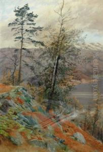 Looking Towards Loch Lomond Oil Painting by Hamilton Maxwell