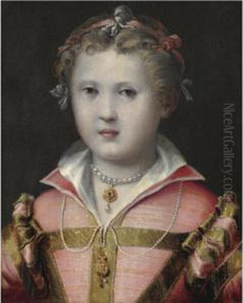 Ritratto Di Bambina In Abito Rosa Oil Painting by Girolamo Mazzola Bedoli