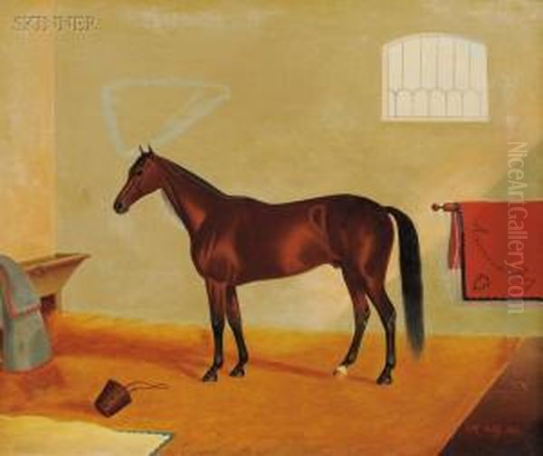 American Boy
/an Equine Portrait Oil Painting by James J. Mcauliffe