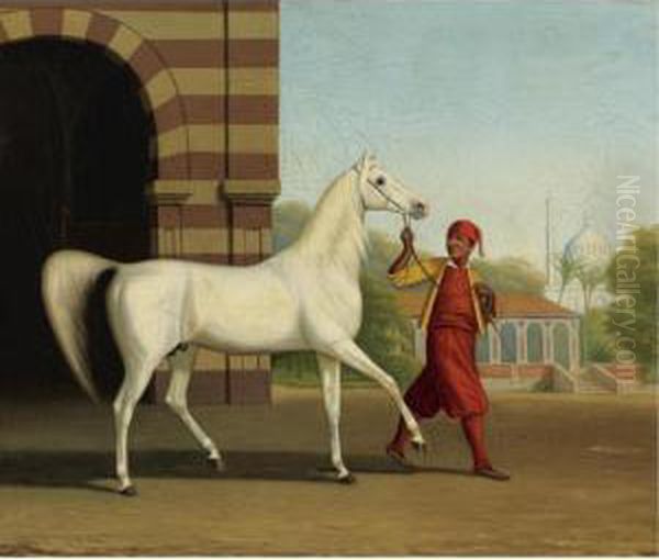 An Arabian Stallion Led By A Groom Oil Painting by James J. Mcauliffe