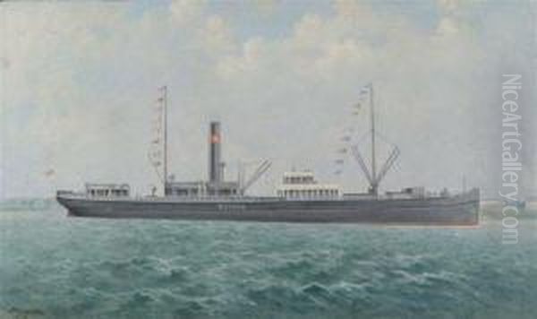 Study Of The Steamship Botnia Oil Painting by George Mcconnell