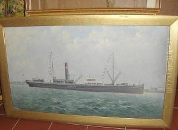 The S.s. Botnia Oil Painting by George Mcconnell