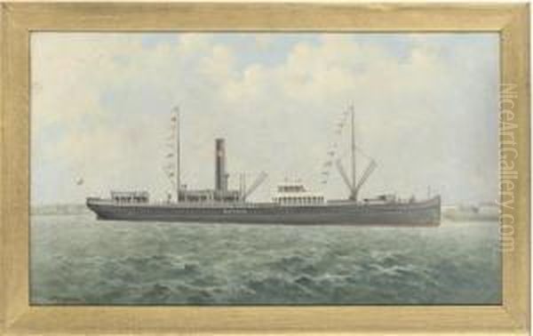 The S.s. Botnia by George Mcconnell