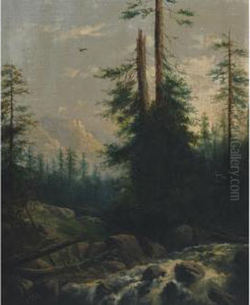 A Rocky Mountain Stream Oil Painting by Henry Nesbitt Mcevoy