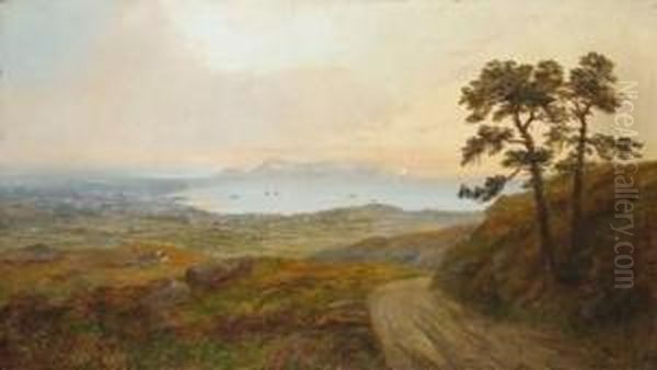 Vue De Dublin Oil Painting by William McEvoy