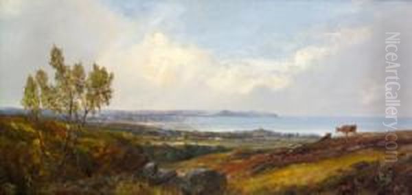 View Of Dublin Bay From Killiney Oil Painting by William McEvoy